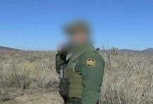 Watchdog alerts trump that border agency violated dna collection law for years letting violent criminals walk free