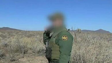 Watchdog alerts trump that border agency violated dna collection law for years letting violent criminals walk free