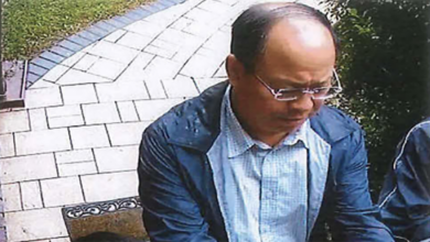 Ice arrests 4 chinese nationals suspected of involvement in grisly practice