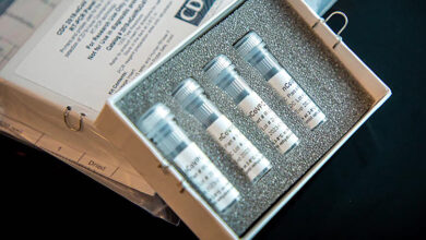 Who to ship 250000 coronavirus test kits as human to human cases rise