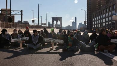 Pro palestinian protesters stop traffic on bay bridge dozens cited and released