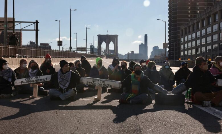 Pro palestinian protesters stop traffic on bay bridge dozens cited and released