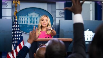 Kayleigh mcenany on coronavirus democrats play politics while trump works to protect americans