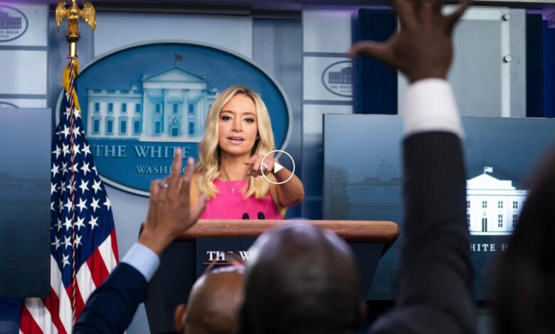 Kayleigh mcenany on coronavirus democrats play politics while trump works to protect americans