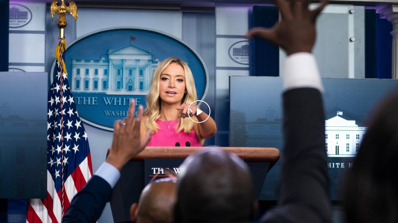 Kayleigh mcenany on coronavirus democrats play politics while trump works to protect americans