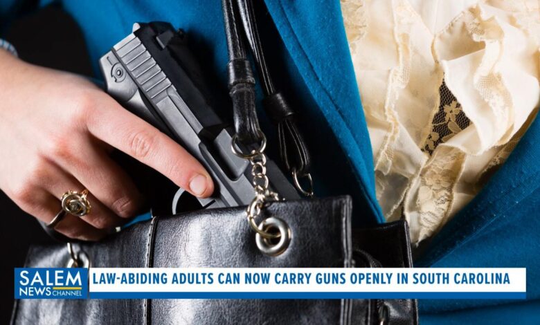 South carolina becomes 29th state to allow carrying firearms without a license