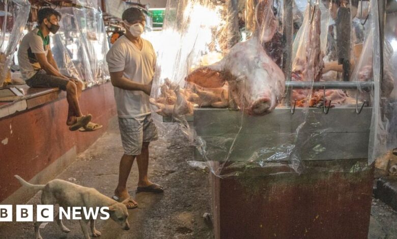 What are the wet markets linked to the coronavirus outbreak