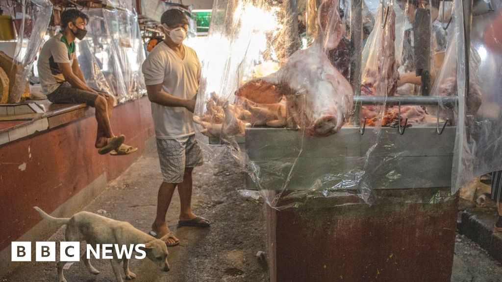 What are the wet markets linked to the coronavirus outbreak