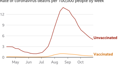 Covid vaccinated more likely to be hospitalized cdc data