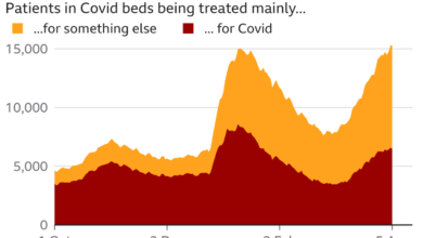 Half of people with coronavirus have no symptoms data shows