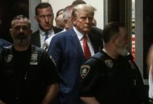 Appeals court rules for trump amid ny fraud trial