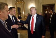 Elon musk calls trump trial obviously a corruption of the law