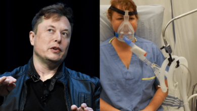 Elon musk cnn spar over ventilator story musk surprised network still exists