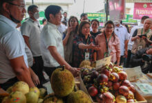 Food stamp program losing 1 billion every month to alleged fraud errors sen ernst