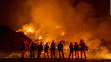 Gender reveal pyrotechnic sparked massive el dorado fire