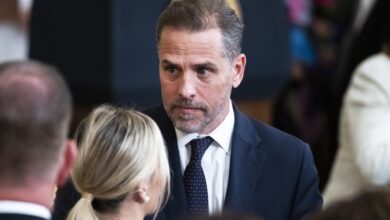 Ex harvard professor warns doj is in clear violation in hunter biden case