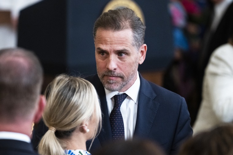 Ex harvard professor warns doj is in clear violation in hunter biden case