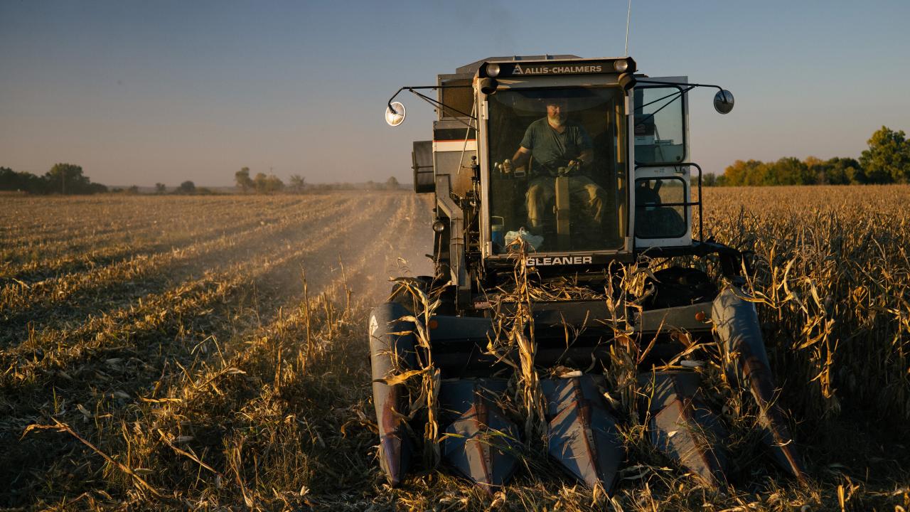 Senate backs ban on china buying us farmland