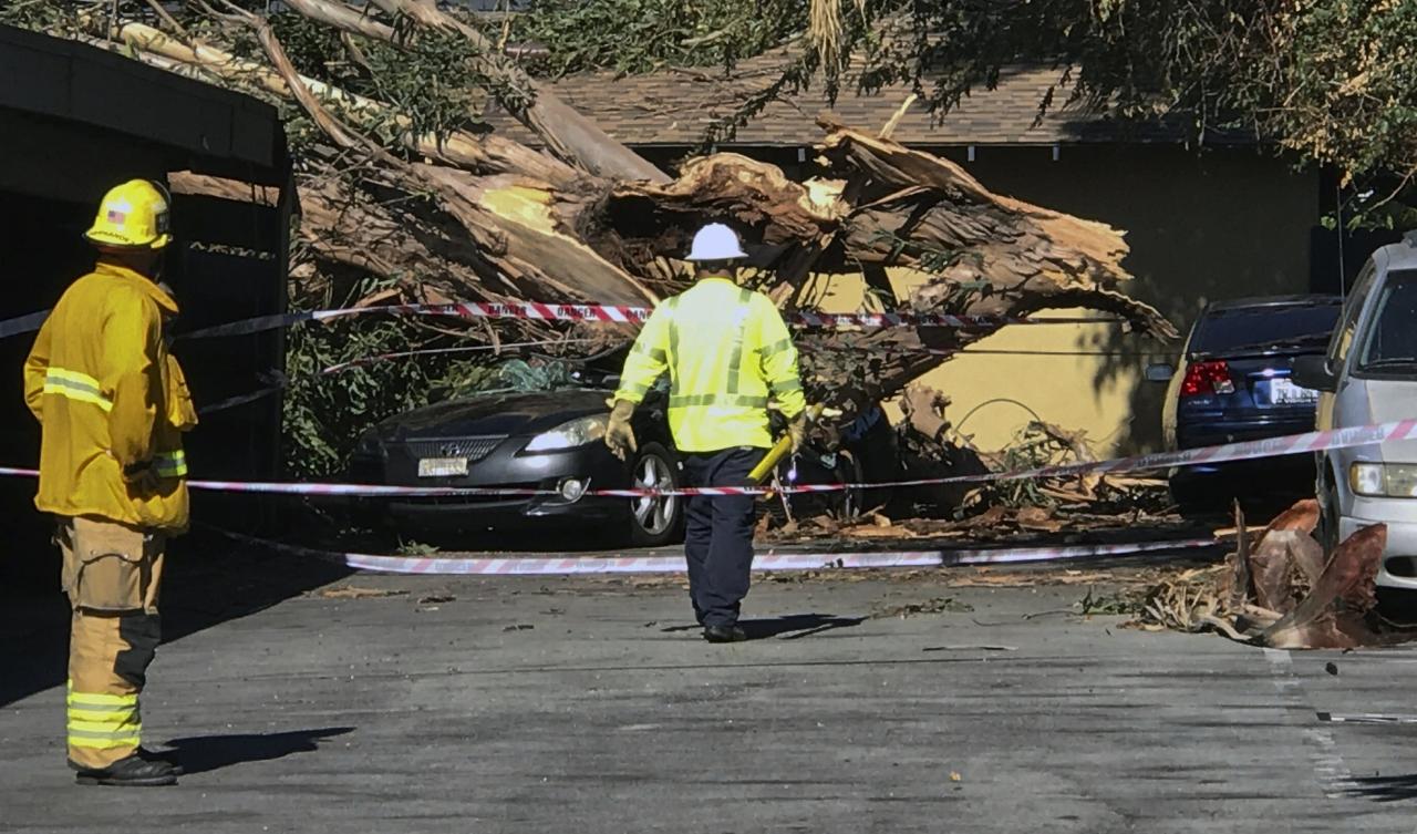 Disaster disasters statista losses worldwide 21st floods costly