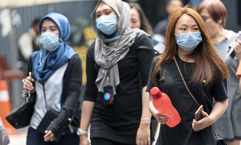 Masks or not doctors debate best way to get economy back to normal