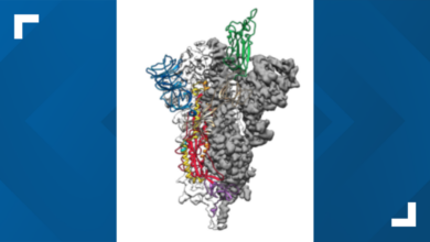 Ut austin announces coronavirus breakthrough could help yield vaccine