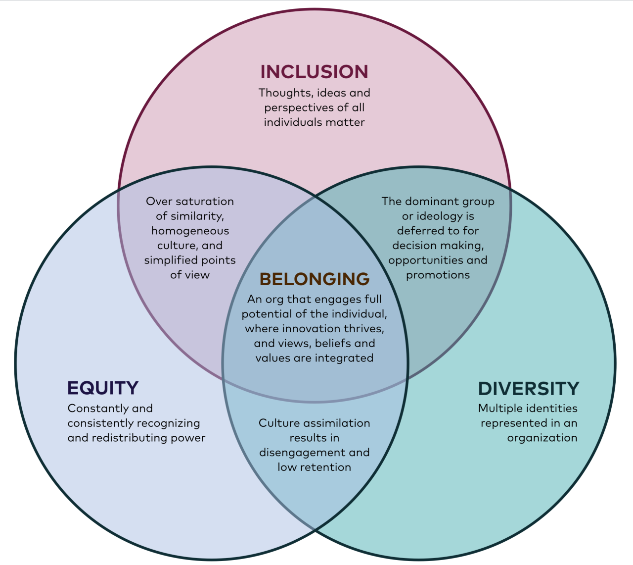 New network of lawyers battle diversity equity and inclusion mandates