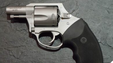 Massachusettss new crackdown bill imposes unprecedented gun control