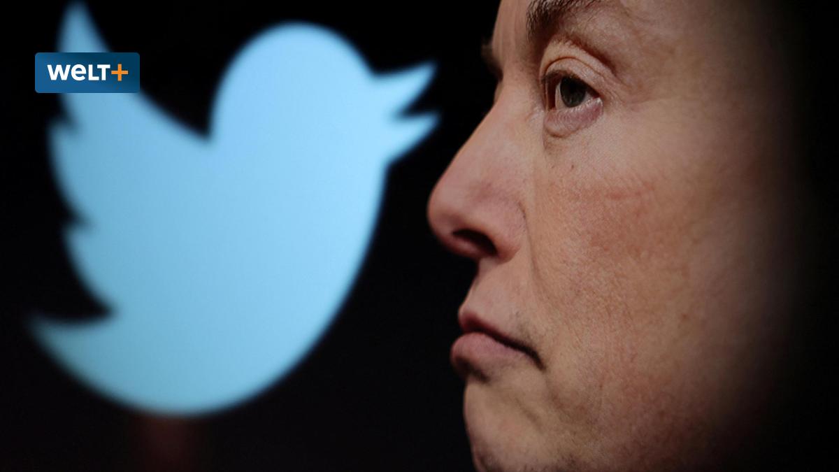 Climate activists panic that twitter under musk allows more dissenting views on global warming