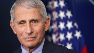 Fauci adviser secretly messaged zoologist who funneled money to chinese lab emails