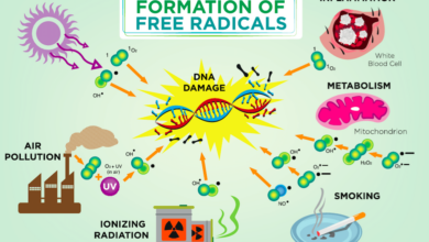 The healing power of hydrogen from antioxidant to anti inflammatory