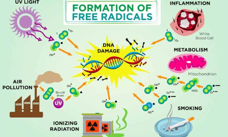 The healing power of hydrogen from antioxidant to anti inflammatory