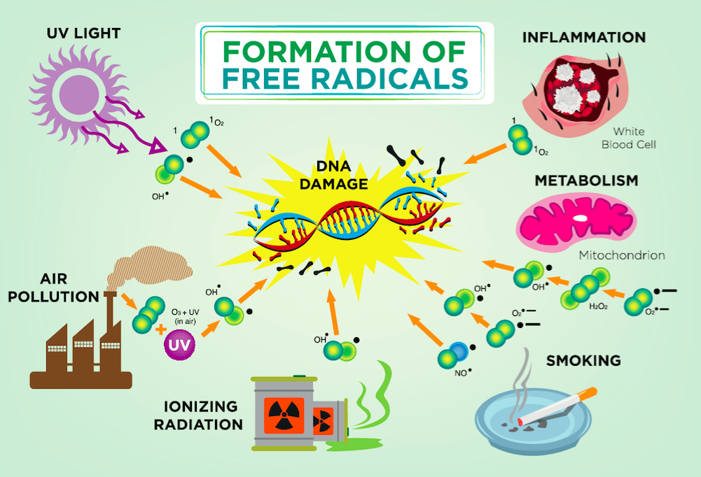 The healing power of hydrogen from antioxidant to anti inflammatory