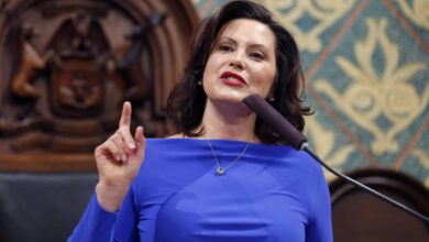 Michigan gov whitmer facing backlash for going to radical extremes with stay at home order