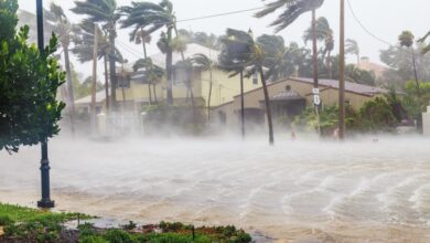 Hurricane helene a natural disaster with political aftershocks