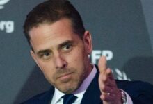 Hunter biden pleads guilty to federal charges