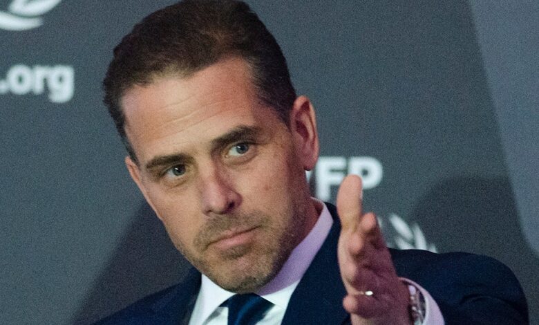 Hunter biden pleads guilty to federal charges