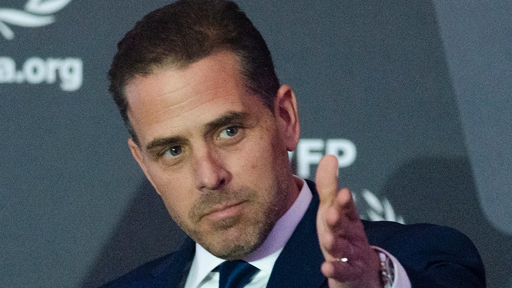 Hunter biden pleads guilty to federal charges