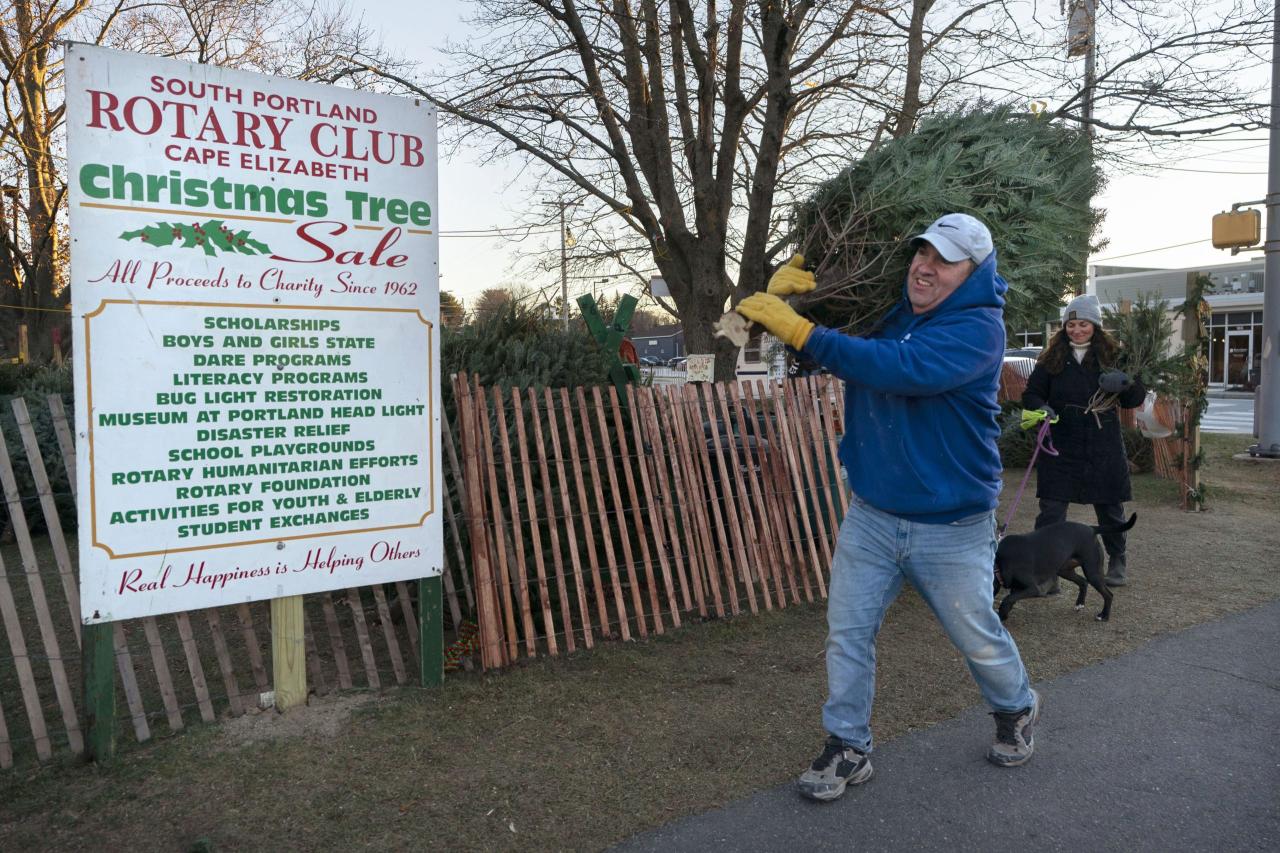 Inflation grinch comes for christmas trees