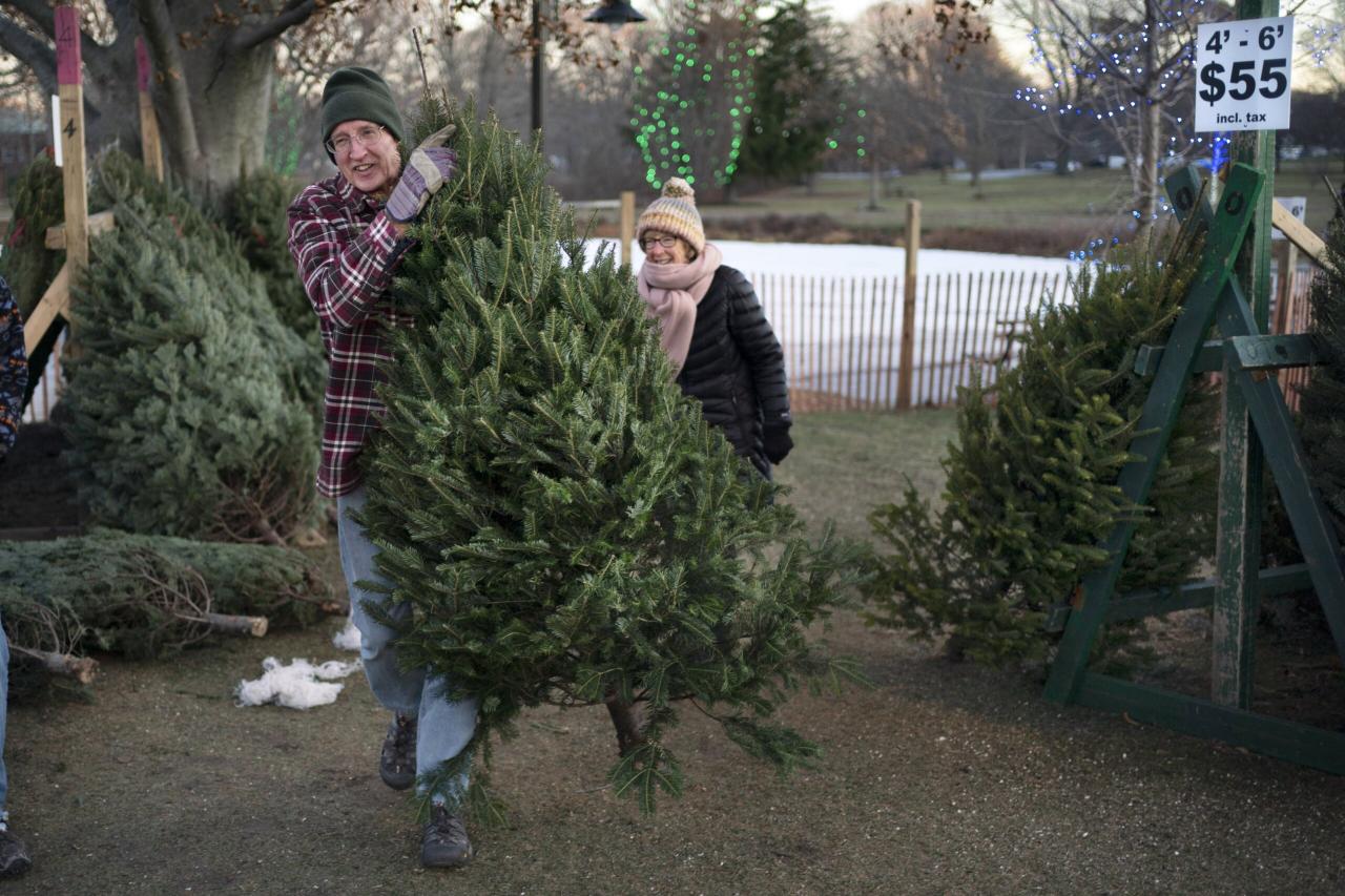 Inflation grinch comes for christmas trees