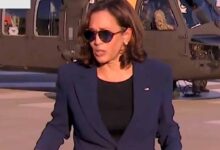 Kamala harris accidentally touts plans under a harris administration during virtual roundtable