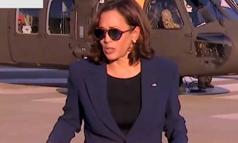 Kamala harris accidentally touts plans under a harris administration during virtual roundtable