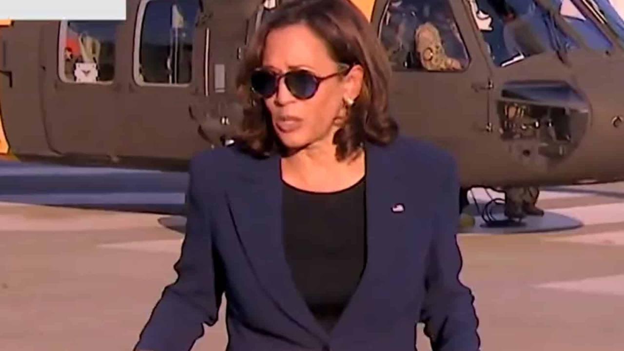 Kamala harris accidentally touts plans under a harris administration during virtual roundtable