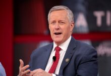 Mark meadows sues nancy pelosi and capitol riot panel members