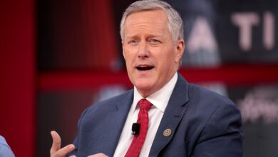 Mark meadows sues nancy pelosi and capitol riot panel members