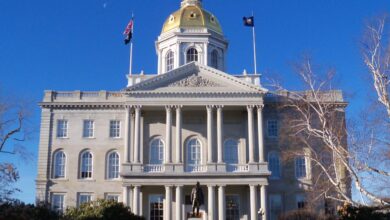 New hampshire house approves over the counter ivermectin