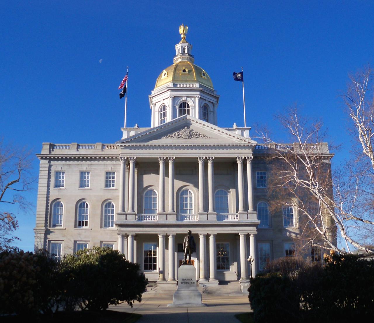 New hampshire house approves over the counter ivermectin