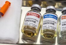 Mrna covid vaccines form spike protein in heart cells but cause different anomalies research article