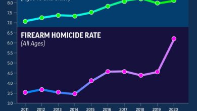 Homicides suicides climbed among young americans during pandemic cdc