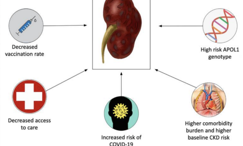 Twenty eight types of kidney complications reported following covid 19 vaccination