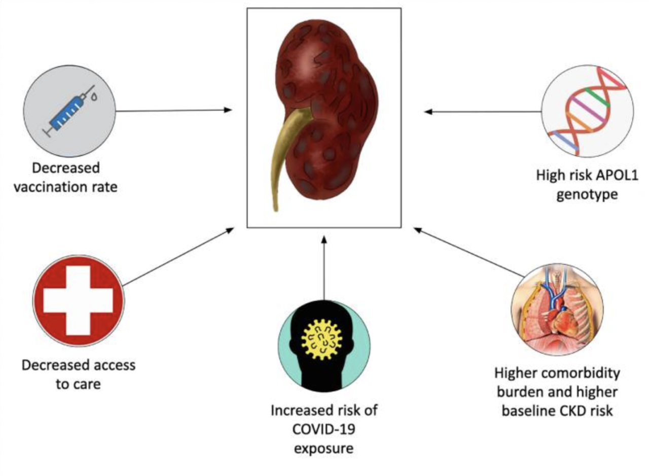 Twenty eight types of kidney complications reported following covid 19 vaccination